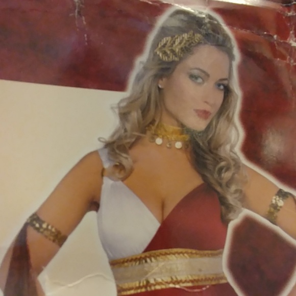 Imperial Dress Costume - Picture 4 of 4